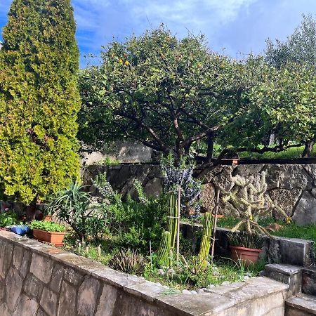 Apartments Cvjetkovic Mlini Εξωτερικό φωτογραφία