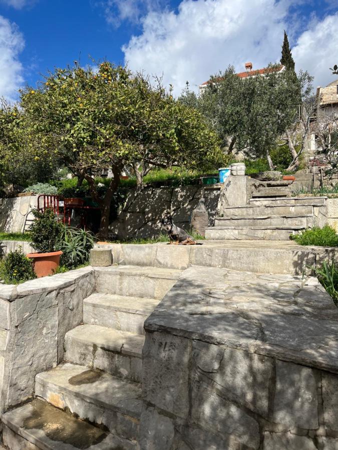 Apartments Cvjetkovic Mlini Εξωτερικό φωτογραφία