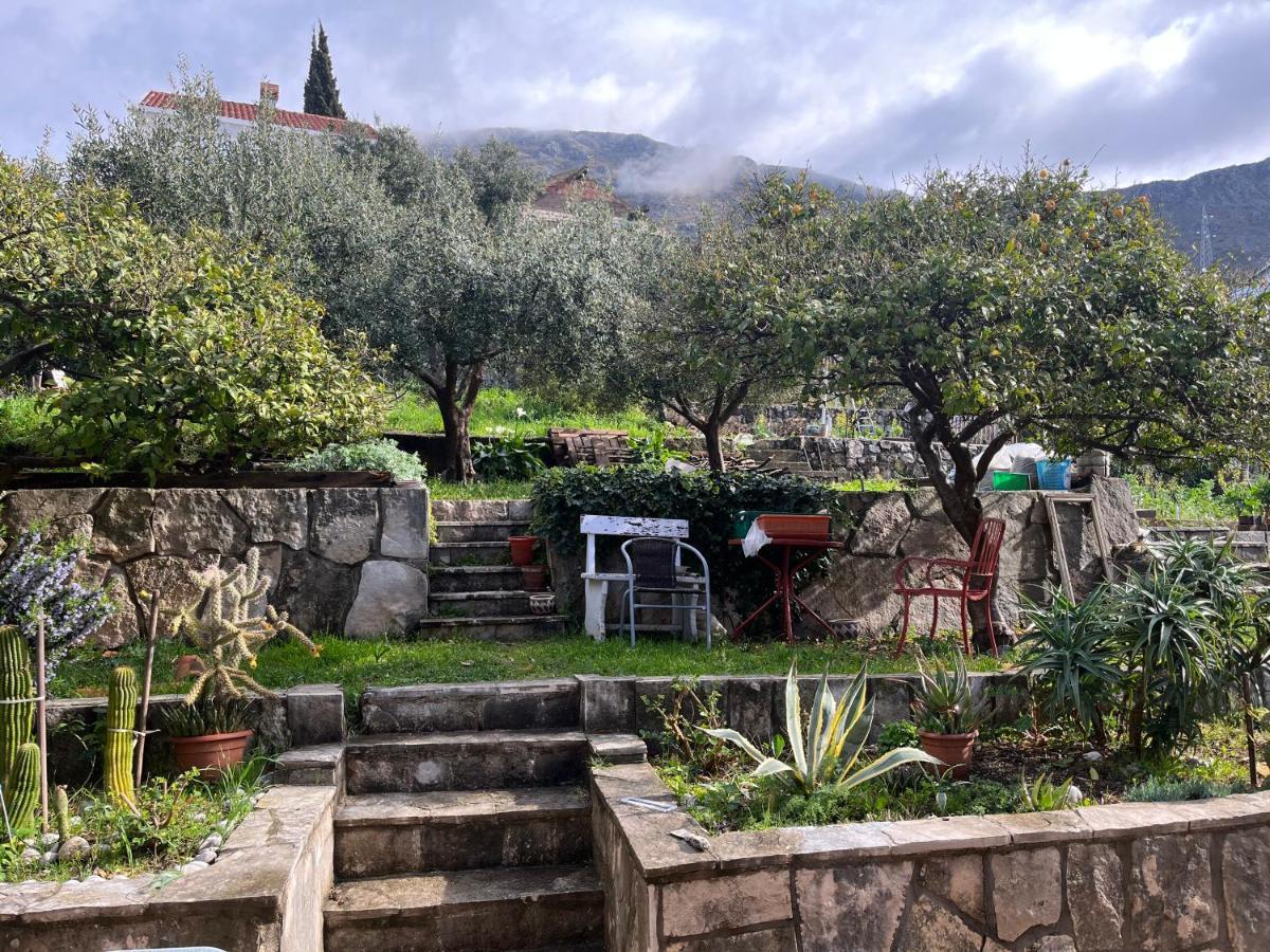 Apartments Cvjetkovic Mlini Εξωτερικό φωτογραφία